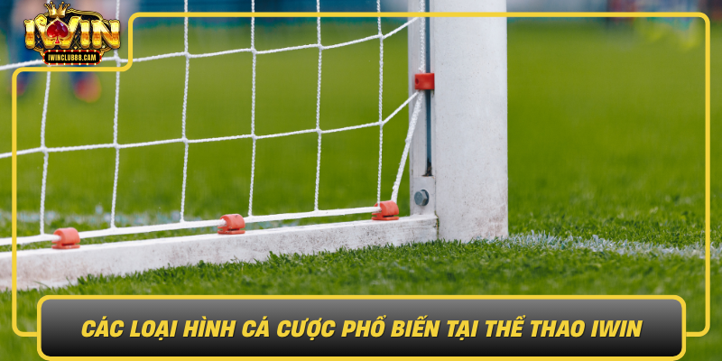 Cac Loai Hinh Ca Cuoc Pho Bien Tai The Thao Iwin1