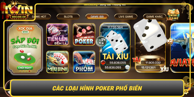 Cac Loai Hinh Poker Pho Bien0